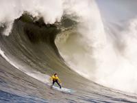 FB体育-开拓者终结雄鹿，爱德华兹在焦点战证明自己