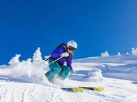 FB体育在线-红黑军团战术完胜黄黑之墙，莱万独舞惊艳欧洲之夜