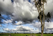 FB体育注册网址-平行时空狂想曲！中超赛场惊现法国队姆巴佩点杀续写蓝白传奇