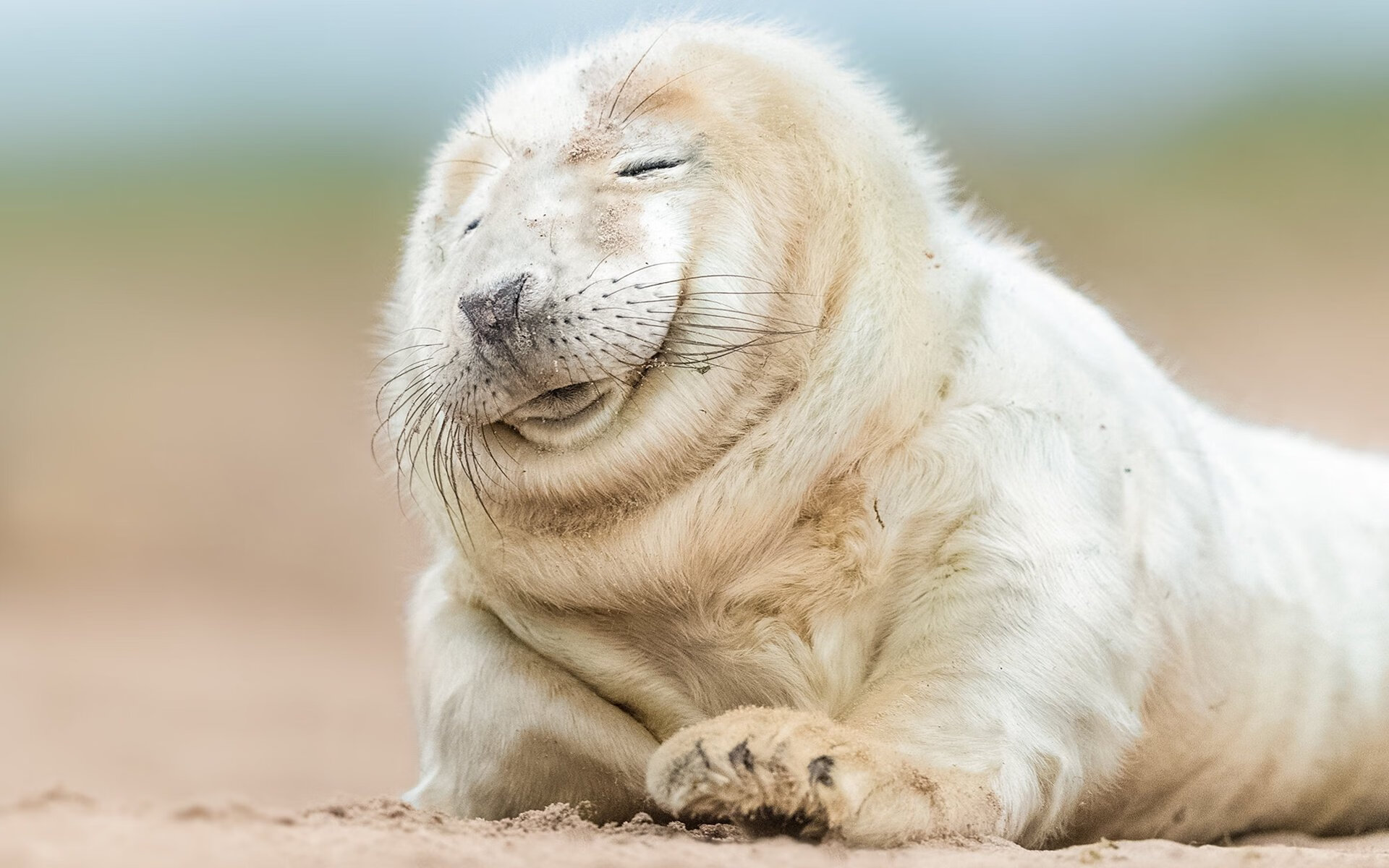 当红魔遇见玻利维亚，布雷默的进攻风暴如何改写足球叙事